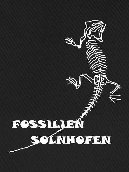 Dinosaurs, fossils, paleontologist,