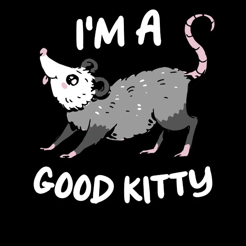 Opossum Possum Tier