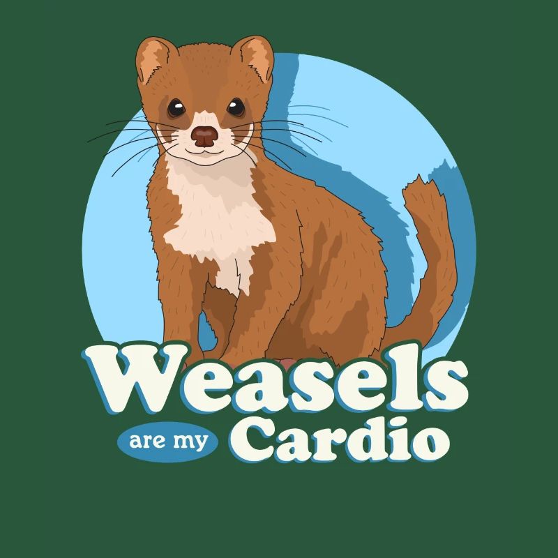 Weasel Mouse Weasel Dwarf Weasel Gift