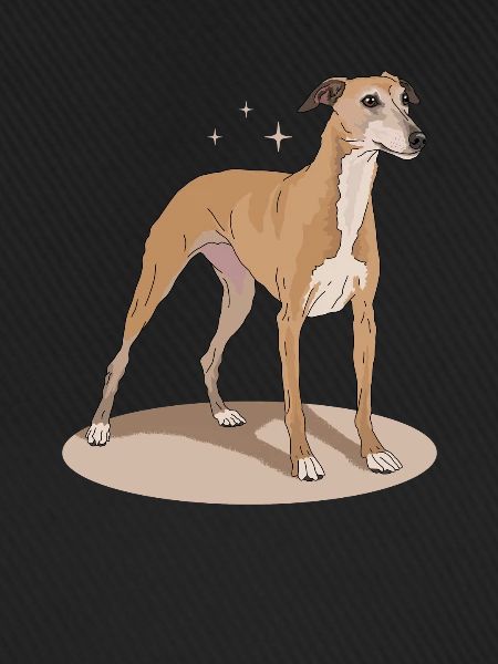 Whippet Englischer Windhund Geschenke