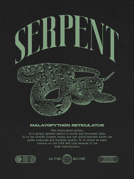 Retikulierte Python Reptile Keeper Streetwear