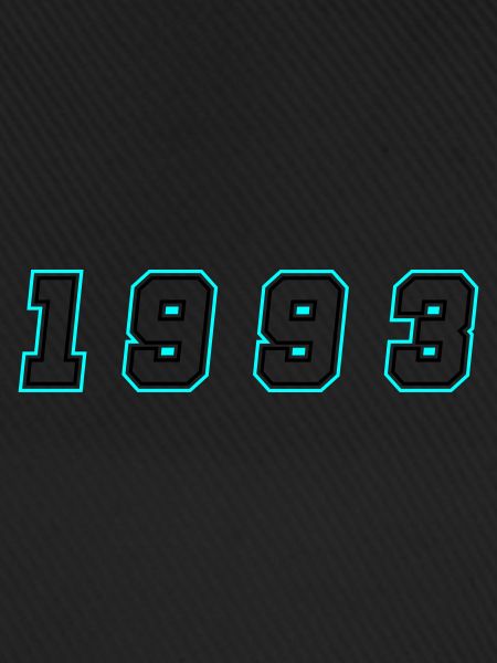 1993 Year Number
