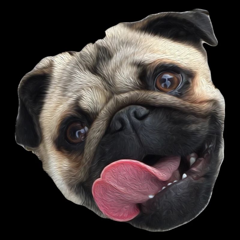 pug