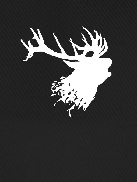 Hirsch