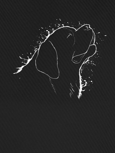 Saint Bernard
