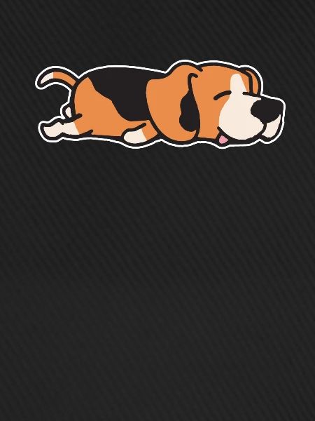 Beagle Dog