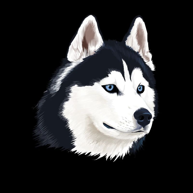 Chien husky
