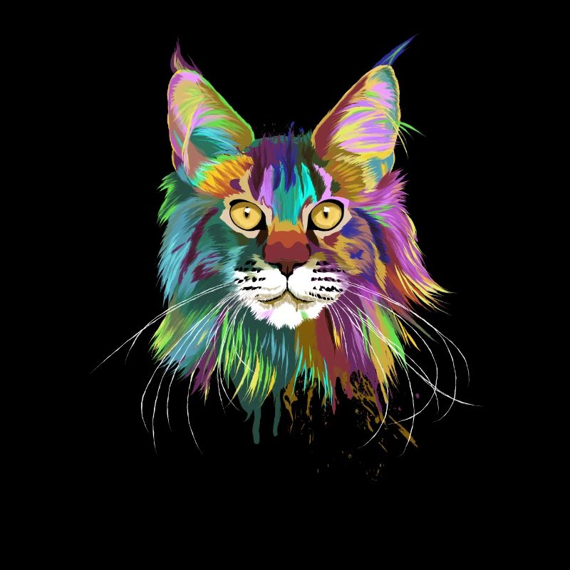 Maine coon chat