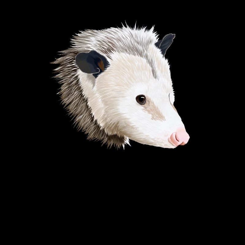 Opossum