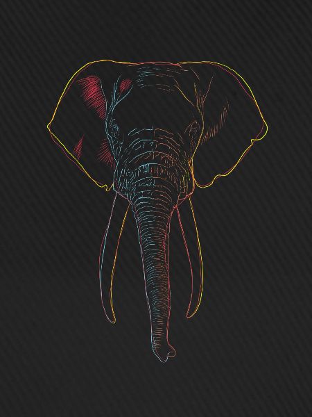 Elefant