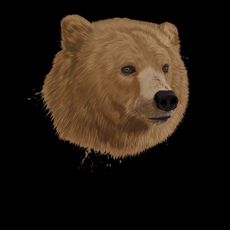 Bear Splatter