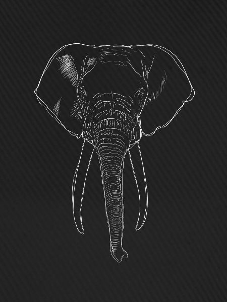 Elefant