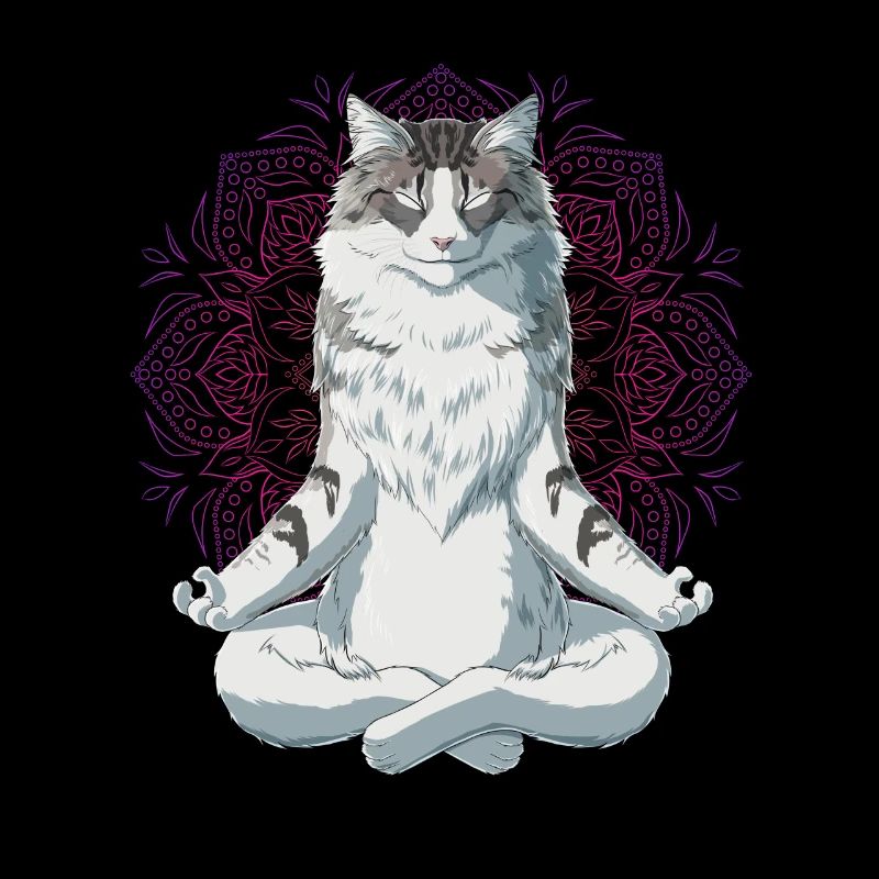 Norwegische Waldkatze Meditation