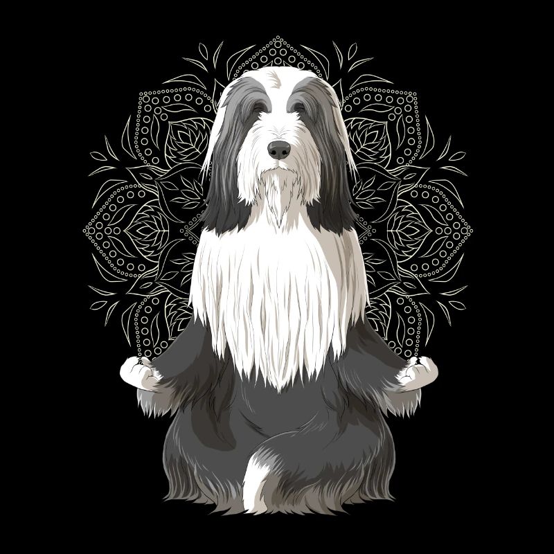 Bearded Collie chien méditation