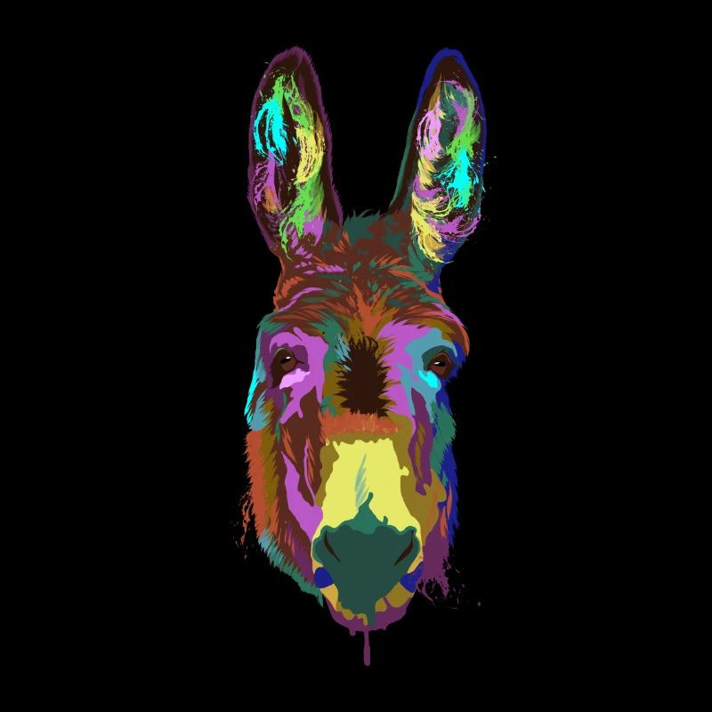 Donkey Splash