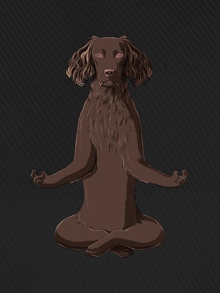 Meditating German Spaniel Dog