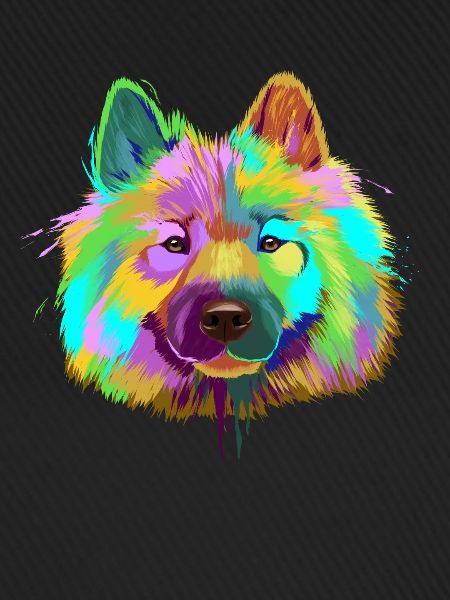 Splash Eurasier Dog
