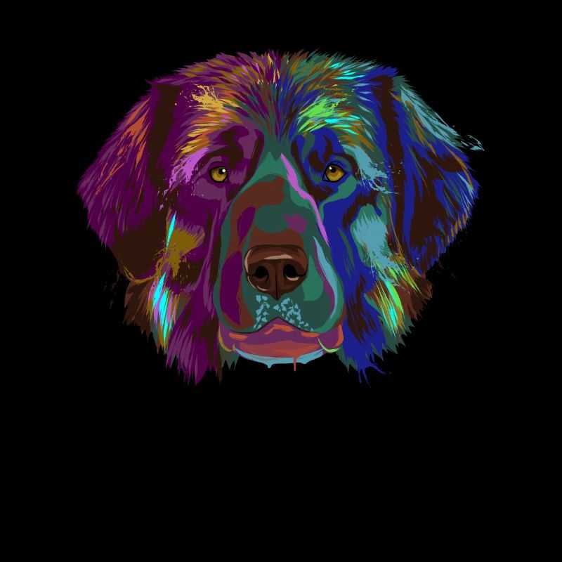 Splash Leonberger Dog