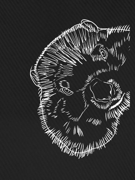 Strokes Groundhog