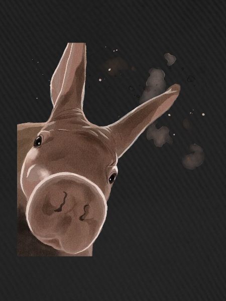 Curious Aardvark
