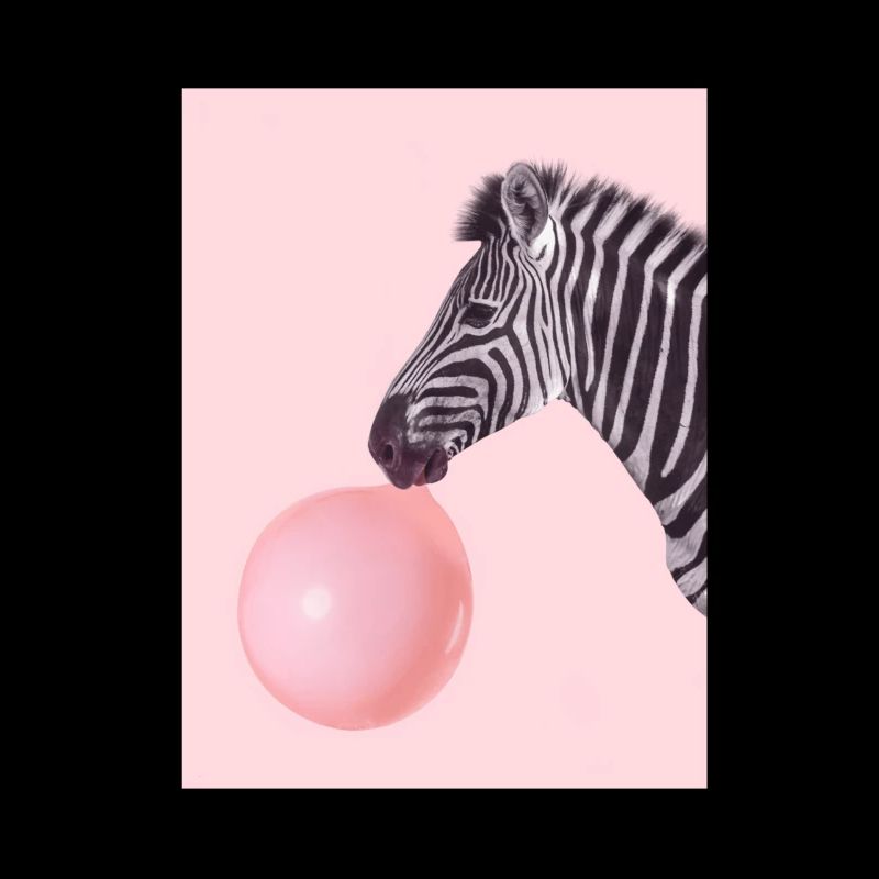 Zebra mit Kaugummi / rosa Kaugummi