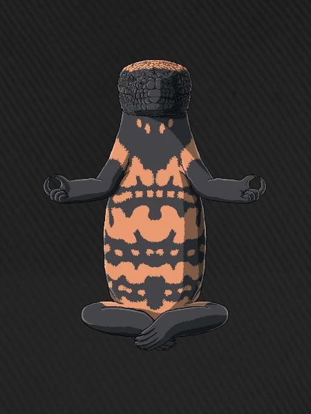 Meditate Gila Monster