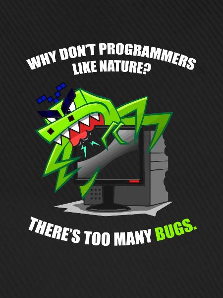 Programmer Coder Software Developer