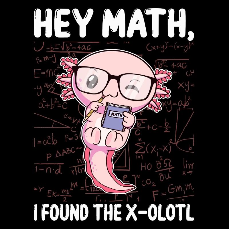 Funny Math Axolotl Math Gift