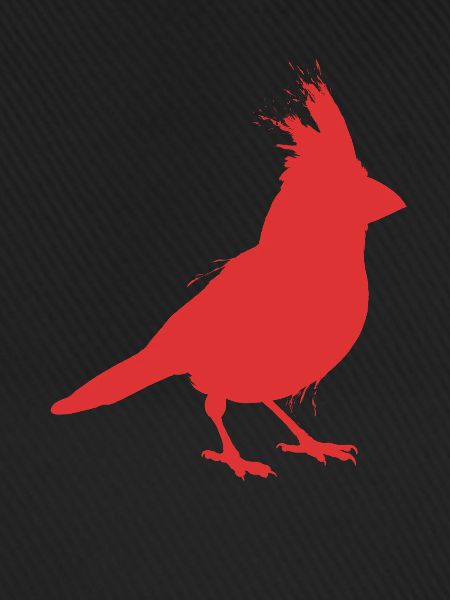 Bird Northern Cardinal