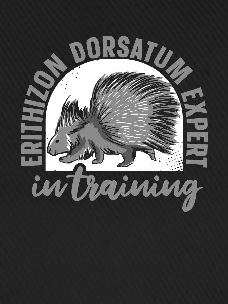 Porcupine