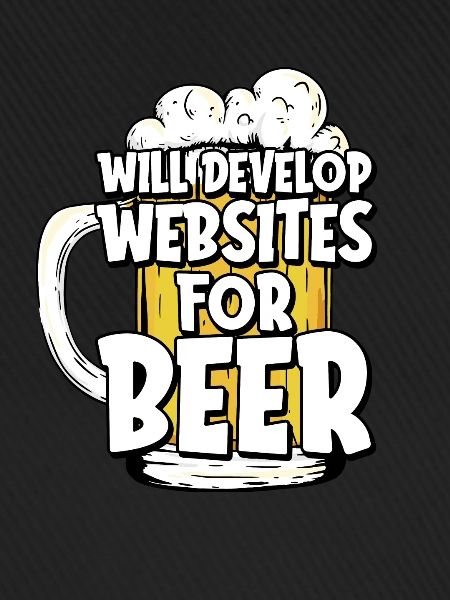Web Entwickler Webdeveloper Web-Entwickler