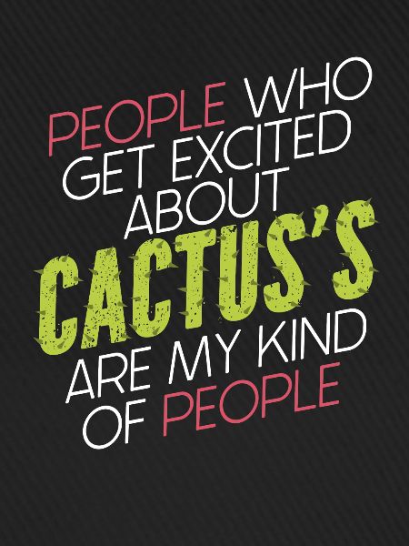Cactus Garden Succulents