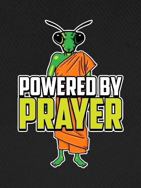Kung Fu praying mantis