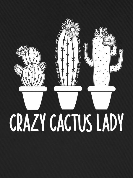 Cactus Garden