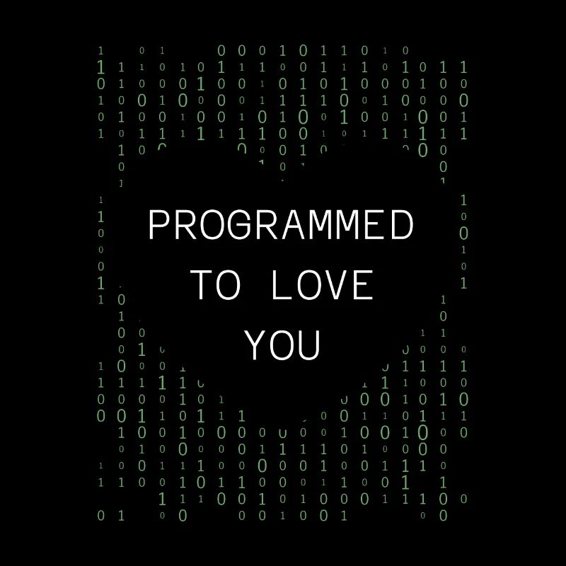Programmeur Codeur développeur