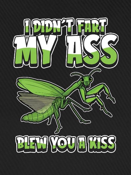 Mantis Gottesanbeterin Humor