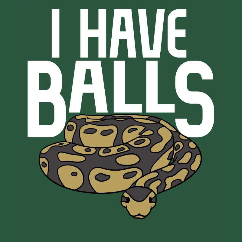 Ball python snake