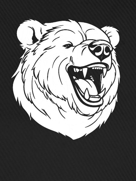Bear Brown Bear Smiling