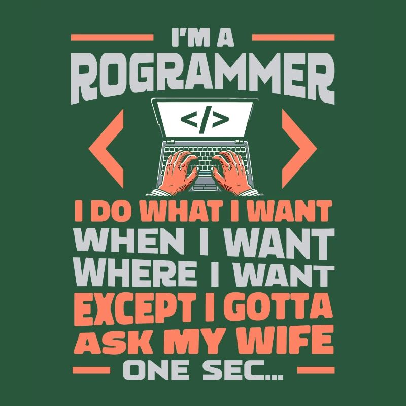 Développeur, Codeur, Programmeur