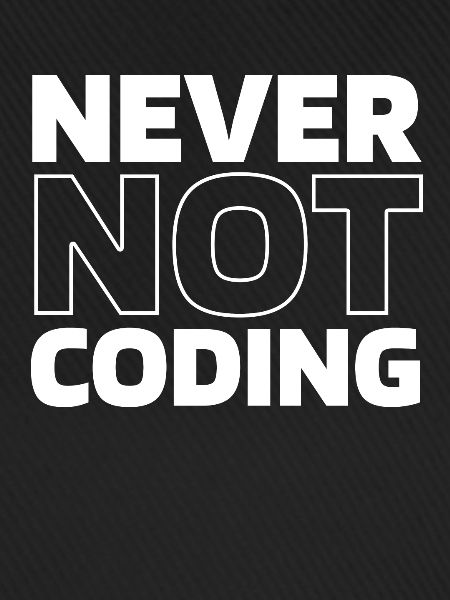 Développeur Codeur Programmeur