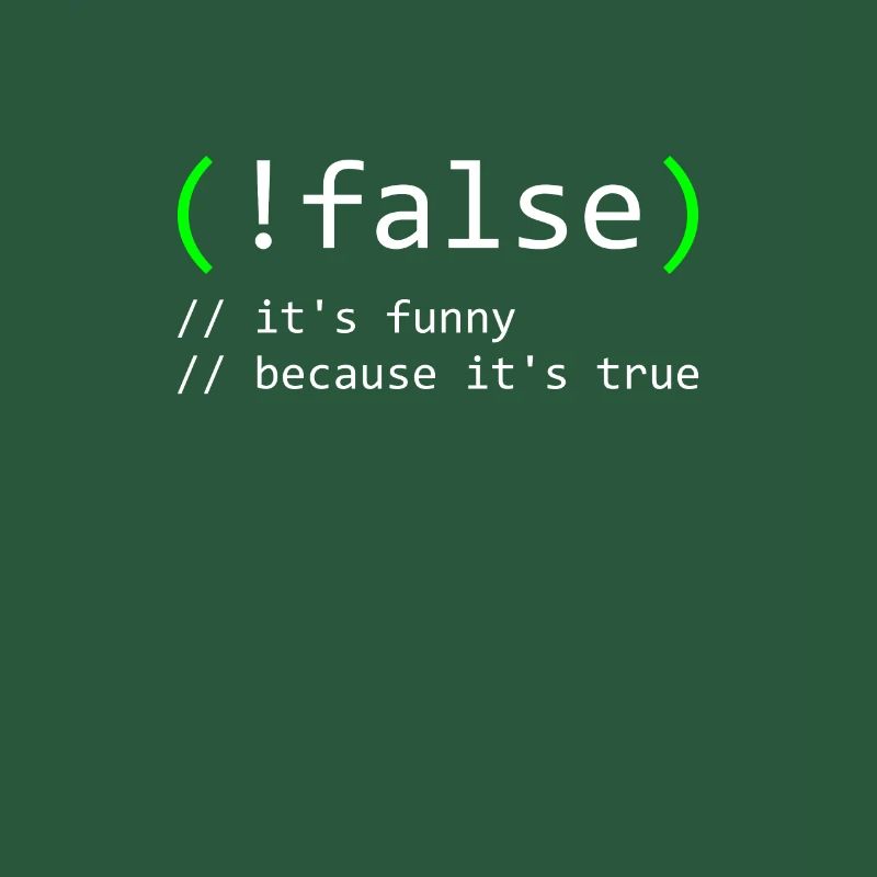 Programmierer Humor false true funny Nerd Geek