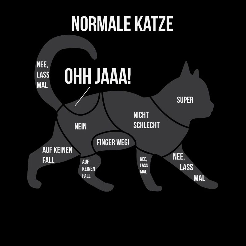 Funny Anatomie Einer Katze Perser Ragdoll Geschenk