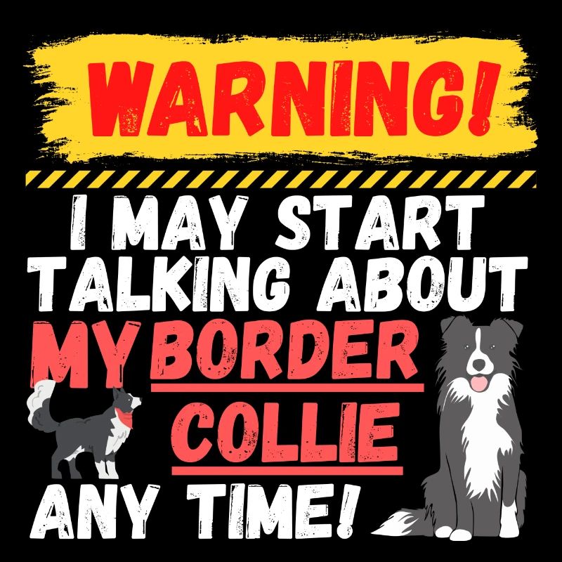 Warning Border Collie