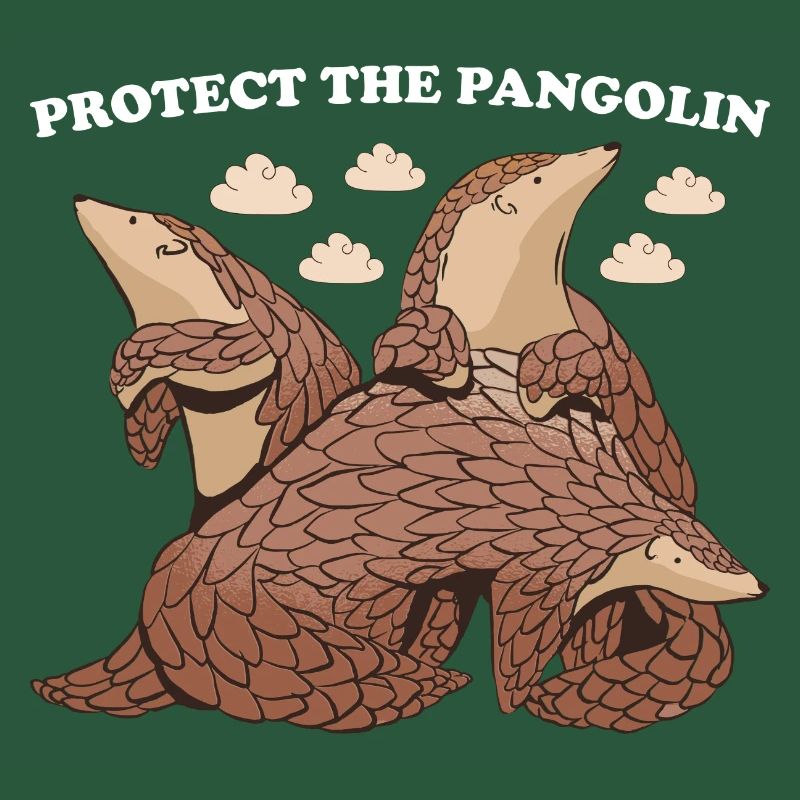 Protéger le pangolin pangolin