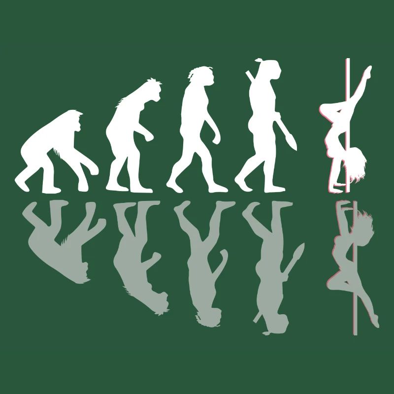 Ombre cadeau Pole Dance Evolution