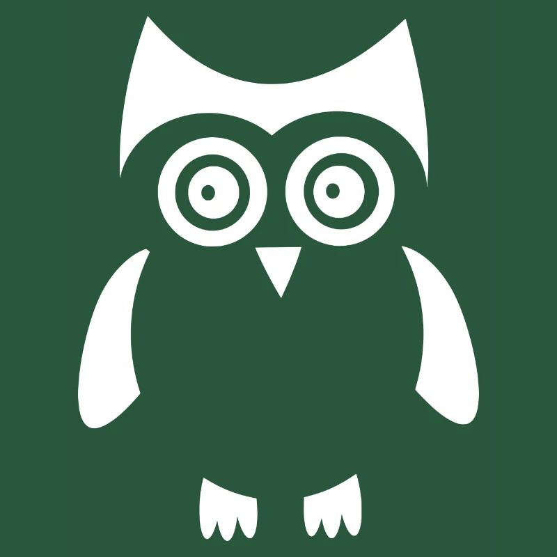 weiße Eule Vogel weiß