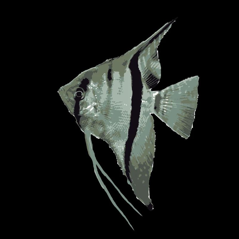 Skalar (Segelflosser)
