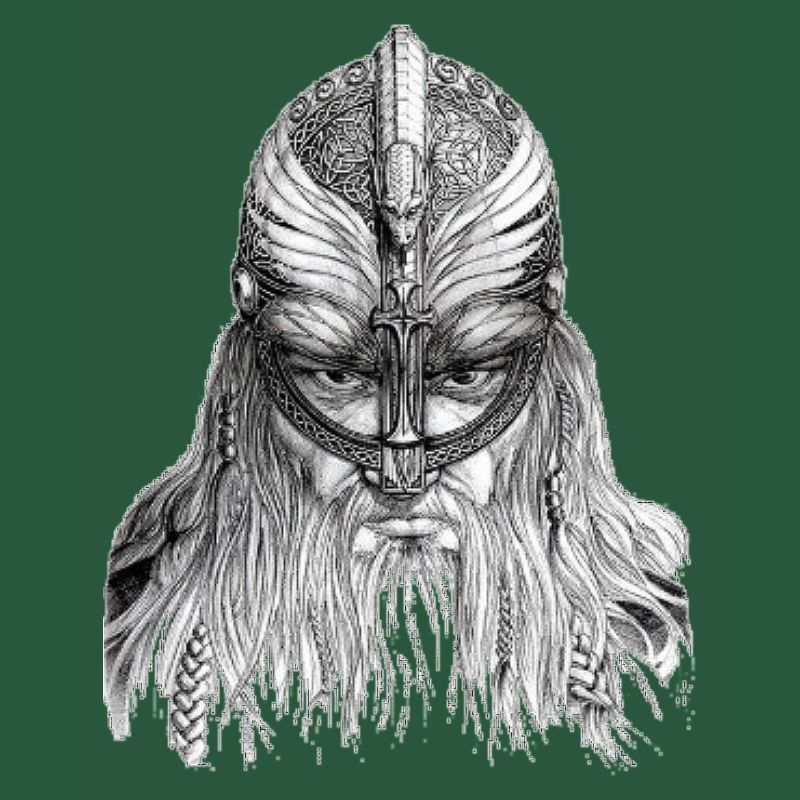 Vikinger 2