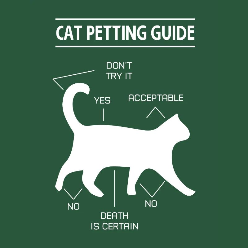 chat chat caresser guide