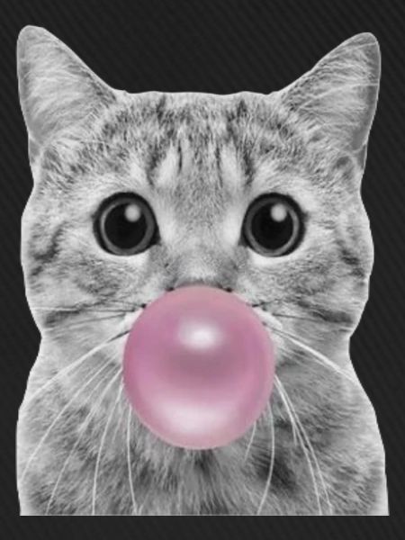 Bubble Katze
